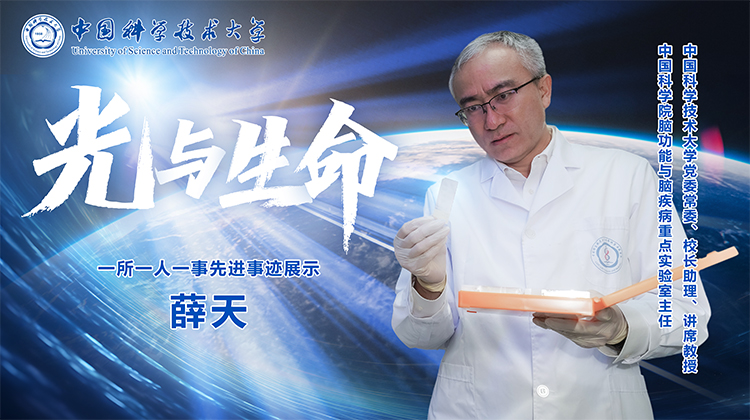 薛天：光与生命